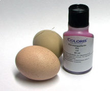 COLORIS Eier-Stempelfarbe, Flasche mit 50 ml